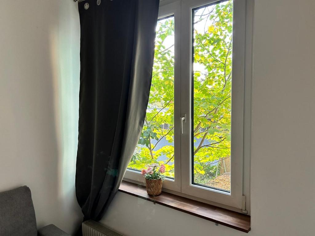 Prime Suites Near Schoenbrunn Castle ウィーン エクステリア 写真