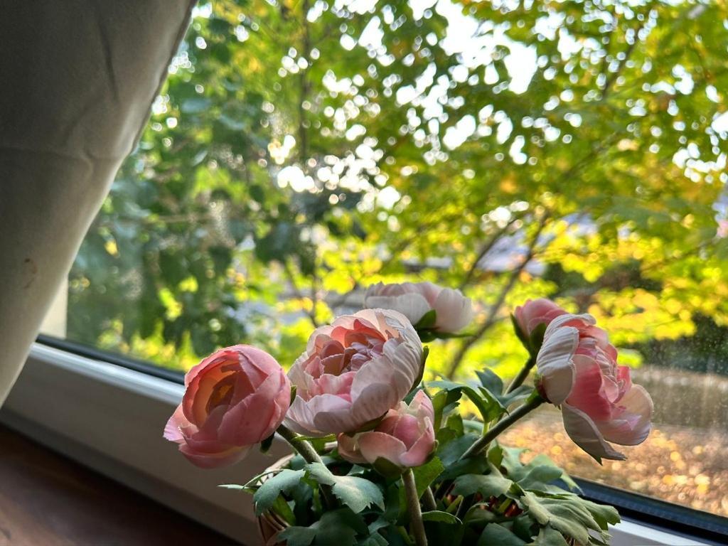 Prime Suites Near Schoenbrunn Castle ウィーン エクステリア 写真