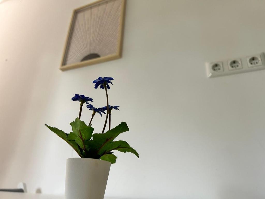 Prime Suites Near Schoenbrunn Castle ウィーン エクステリア 写真